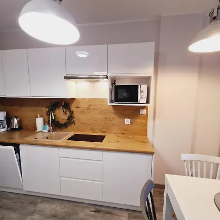 Apartament E5 Karpatia - 5D Apartamenty Karpacz Zewnętrze zdjęcie